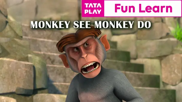 Monkey See Monkey Do